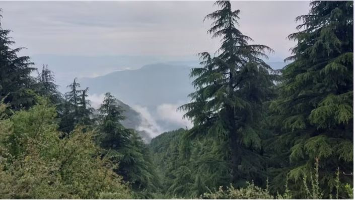 Courageux Vyas Shikhar Ultra Chakrata